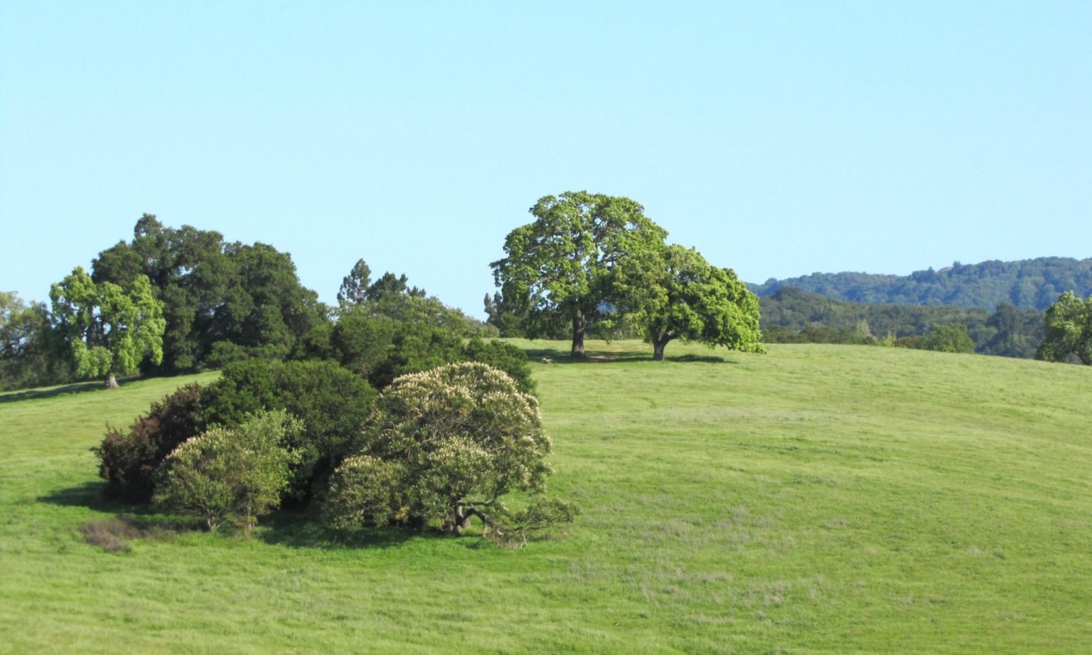 Organic Land Care Fertile Earth Tree & Land Care